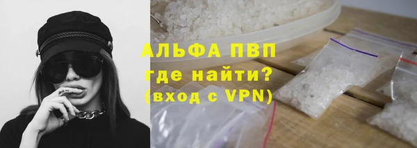 ПСИЛОЦИБИНОВЫЕ ГРИБЫ Белоозёрский