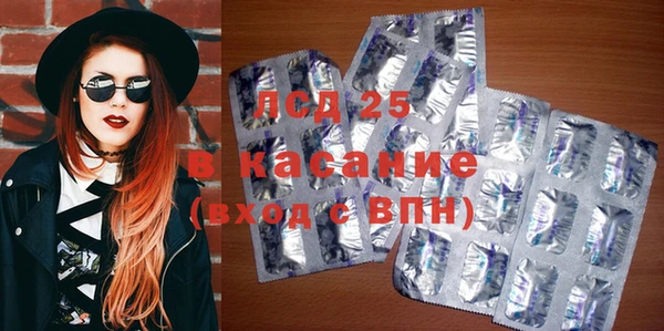 ПСИЛОЦИБИНОВЫЕ ГРИБЫ Белоозёрский